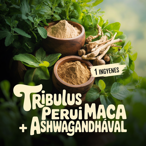 1+1 AJÁNDÉK csomag, Tribulus perui maca + ashwagandhával